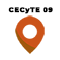09