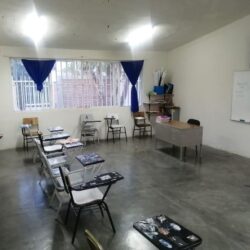 IMG_20220512_071647 IMG_20220512_071647